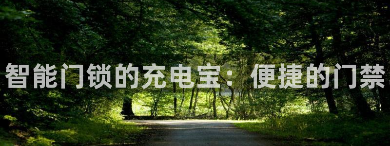 利记手机官网葡京备用：智能门锁的充电宝：便捷的门禁