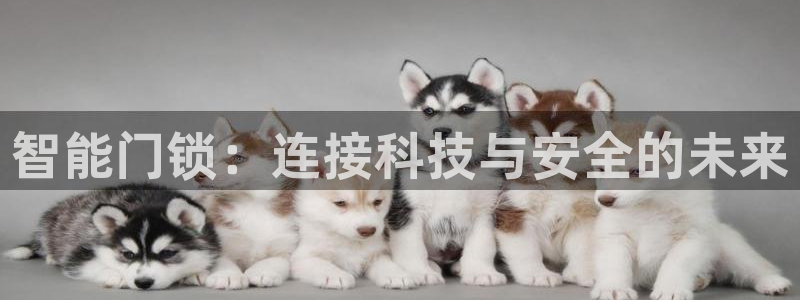 利记坊官网注册账号：智能门锁：连接科技与安全的未来