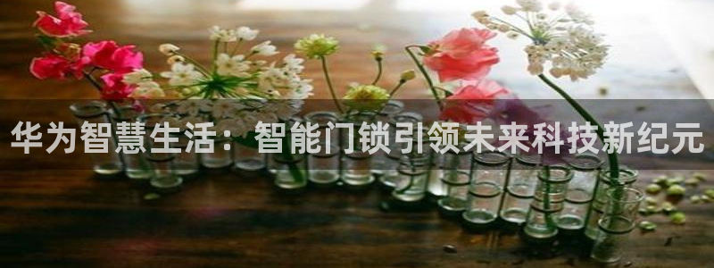 利记彩票官网wx678 com：华为智慧生活：智能门锁引领未