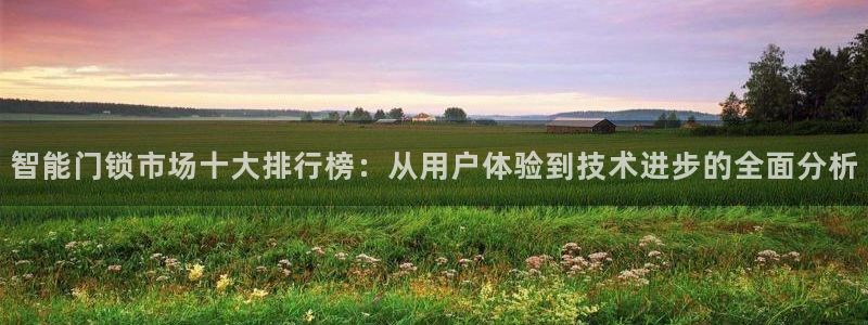 利记官网地址：智能门锁市场十大排行榜：从用户体验到技术进步的