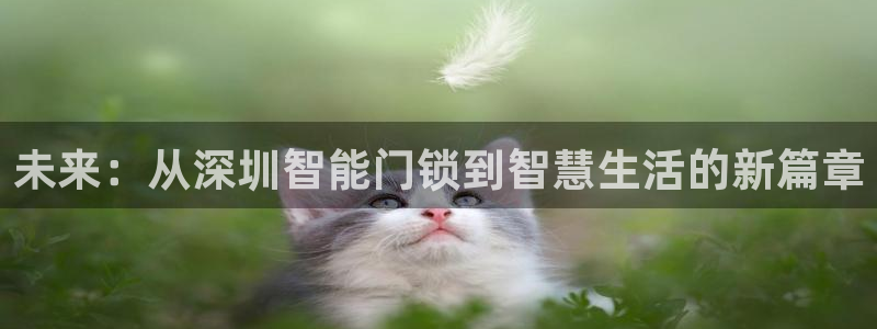 sbotop利记官网：未来：从深圳智能门锁到智慧生活的新篇章