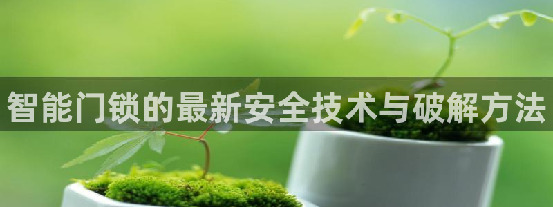 利记体育投注官网：智能门锁的最新安全技术与破解方法