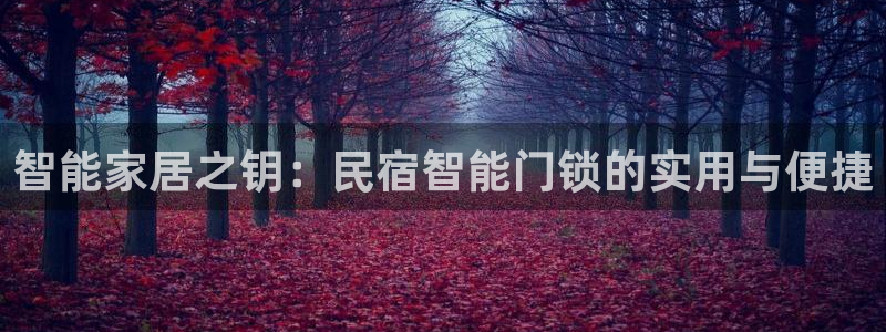 利记官网是什么：智能家居之钥：民宿智能门锁的实用与便捷