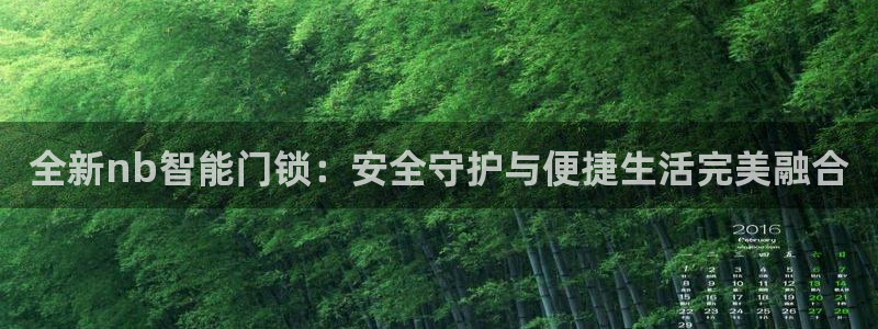 利记二手车行官网：全新nb智能门锁：安全守护与便捷生活完美融