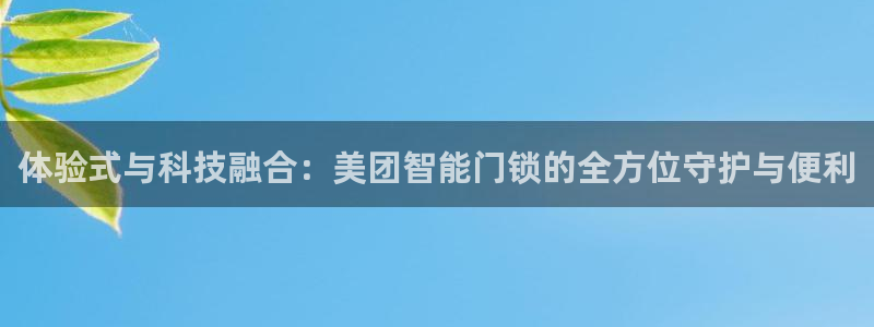 利记官网开户：体验式与科技融合：美团智能门锁的全方位守护与便