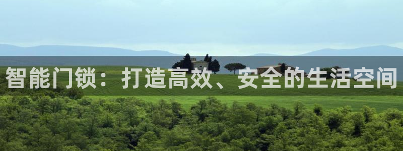 新利记官网：智能门锁：打造高效、安全的生活空间