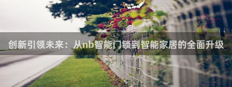 利记彩票平台官网：创新引领未来：从nb智能门锁到智能家居的全