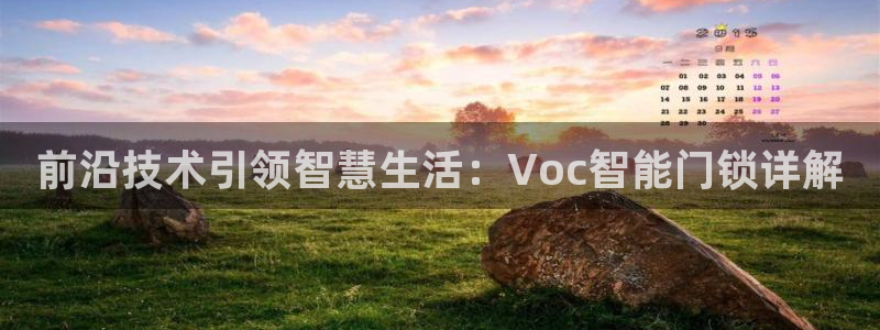 利记彩票网网址官网hd71：前沿技术引领智慧生活：Voc智能