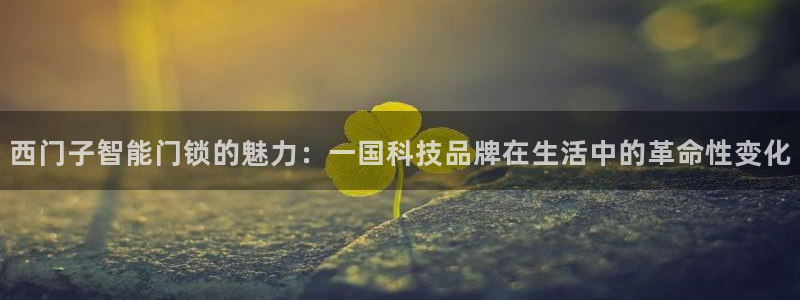 利记彩票官网网址官网hd71：西门子智能门锁的魅力：一国科技