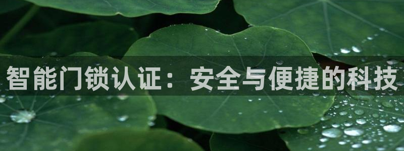 利记彩票官网：智能门锁认证：安全与便捷的科技