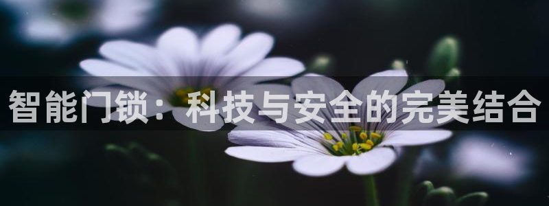 sbobet利记官网登录入口：智能门锁：科技与安全的完美结合