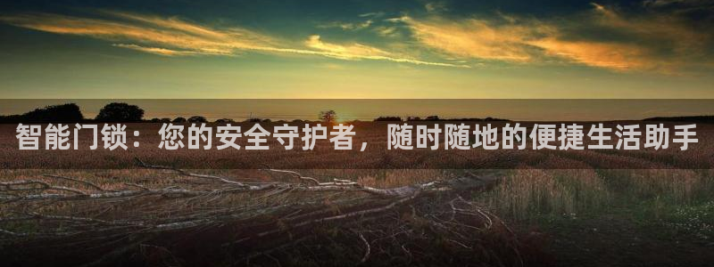 利记体育在线官网：智能门锁：您的安全守护者，随时随地的便捷生