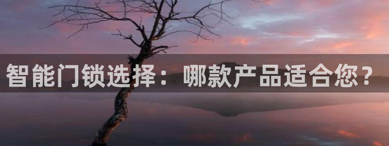 利记官网行业领导者：智能门锁选择：哪款产品适合您？