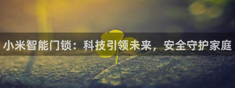 新利记官网：小米智能门锁：科技引领未来，安全守护家庭