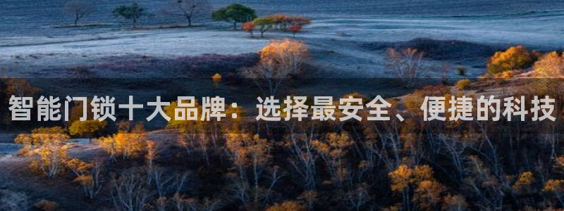 sbobet利记官网登录入口：智能门锁十大品牌：选择最安全、
