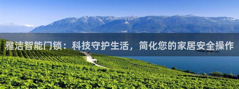 铂利记旗舰店官网：雅洁智能门锁：科技守护生活，简化您的家居安