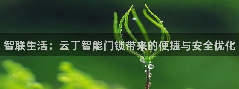 利记app官网：智联生活：云丁智能门锁带来的便捷与安全优化